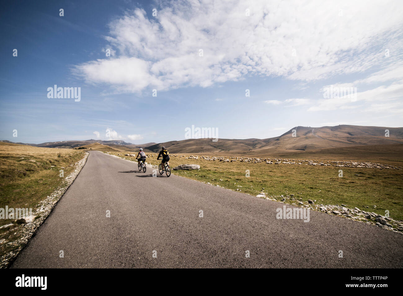 Point view riding bicycle hi-res stock photography and images - Alamy