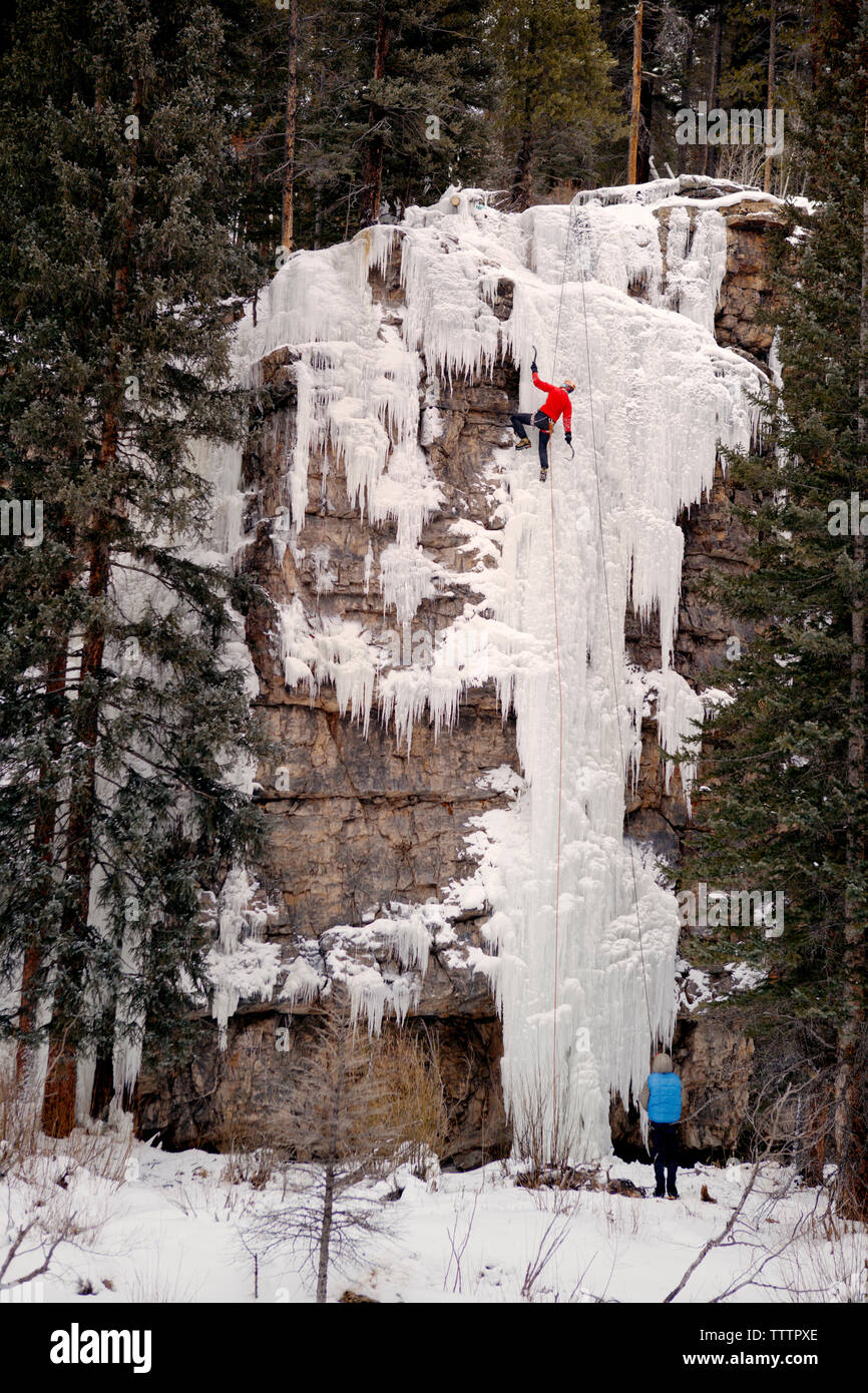 Ice trees climbing hi-res stock photography and images - Alamy