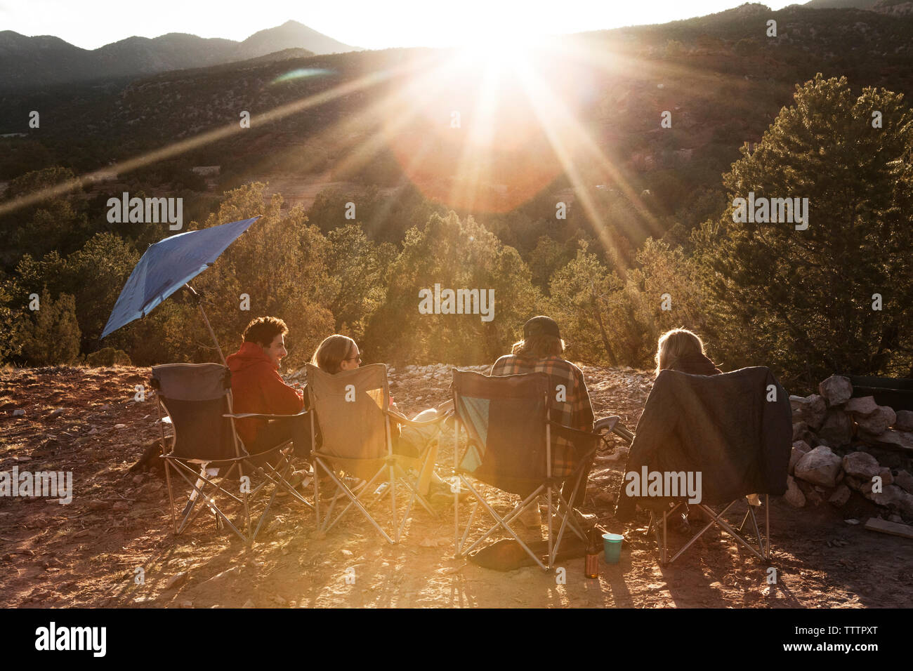 Friends enjoying while resting at campsite against trees on sunny day Stock Photo