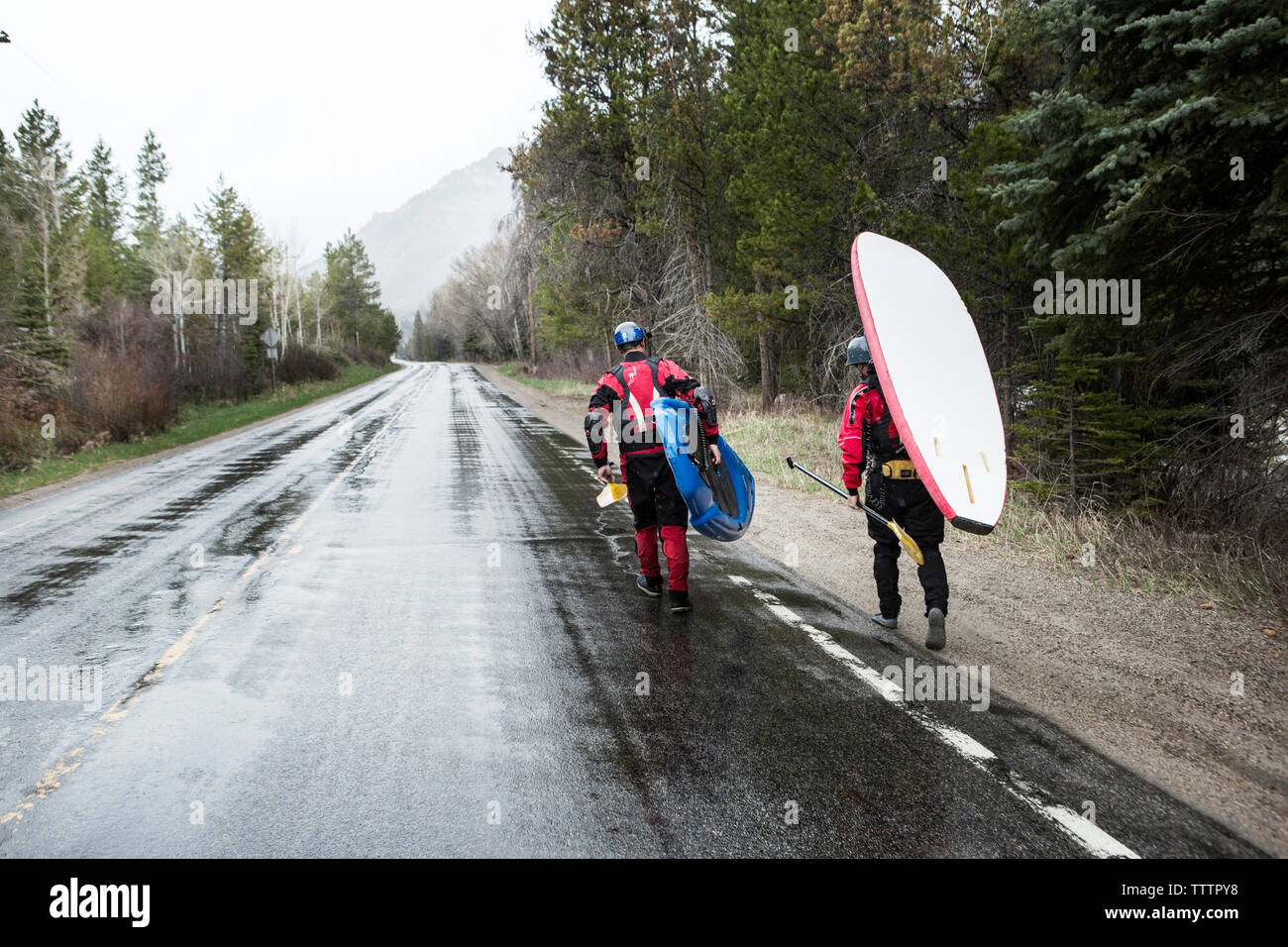 Rear view of paddlers carrying paddleboards while walking on wet road Stock Photo
