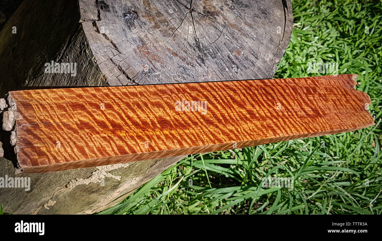 Wood has tiger stripe or curly stripe grain Stock Photo Alamy