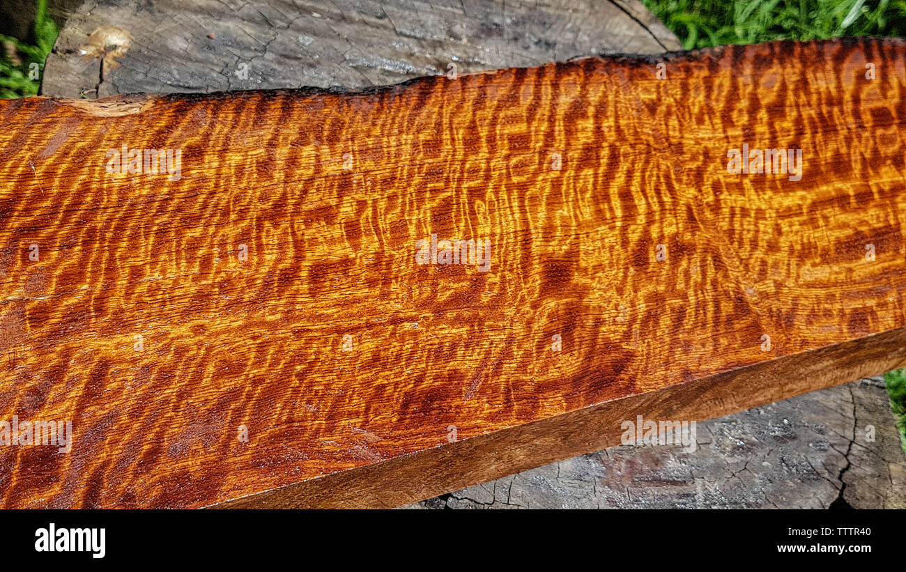 Wood has tiger stripe or curly stripe grain Stock Photo - Alamy