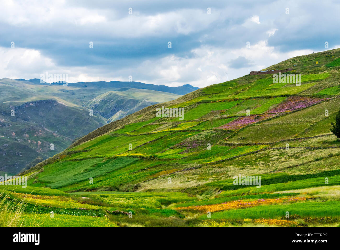 Farmland in the Andes Mountain, Quehue, Canas Province, Peru Stock Photo