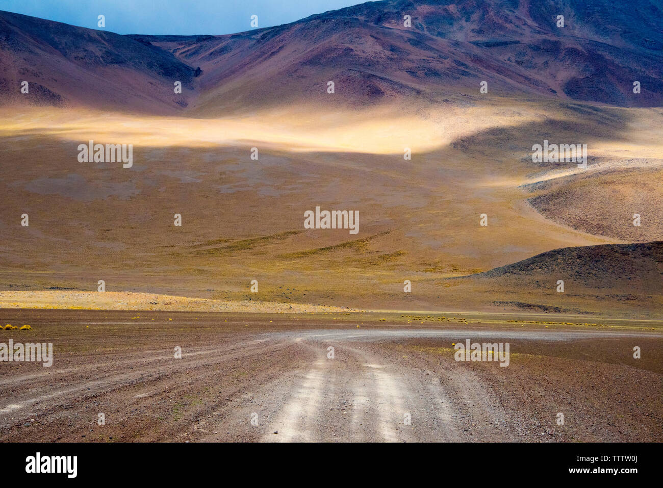 Tracks left by vehicles on desert land, Eduardo Avaroa Andean Fauna National Reserve, Potosi Department, Bolivia Stock Photo