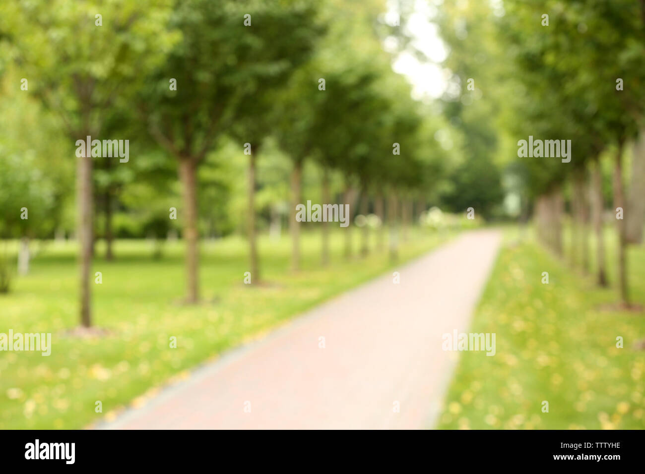 Blurred view park green hi-res stock photography and images - Alamy