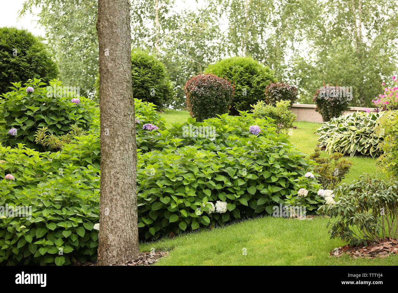 Beautiful green park with flowers in blossom Stock Photo - Alamy