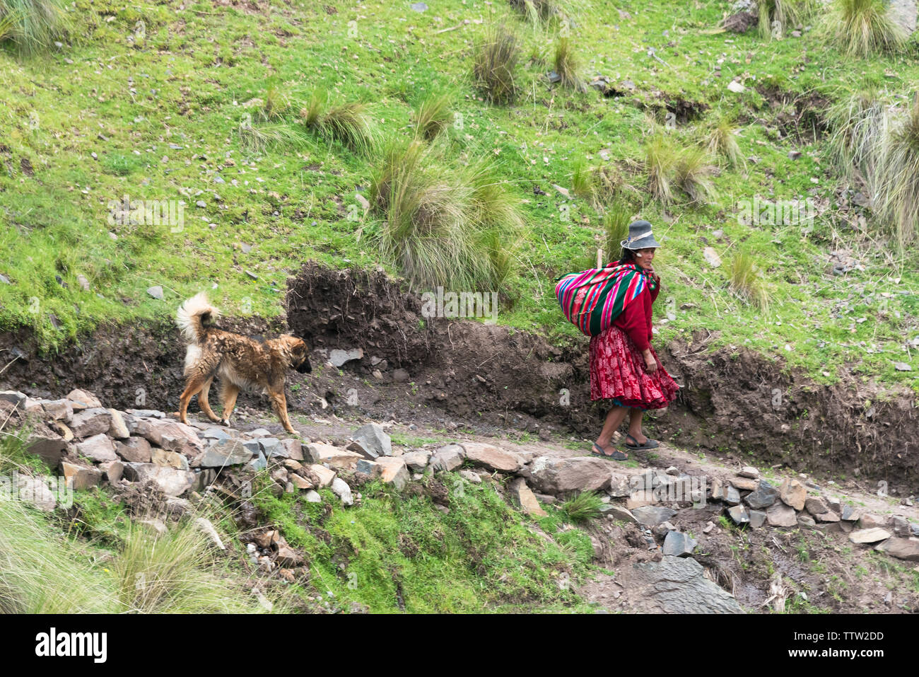 Quechua woman with dog in the Andes Mountain, Quehue, Canas Province, Peru Stock Photo