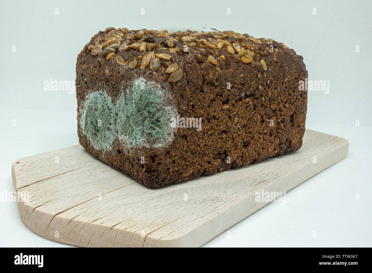 moldy rye bread lies on a wooden board Stock Photo