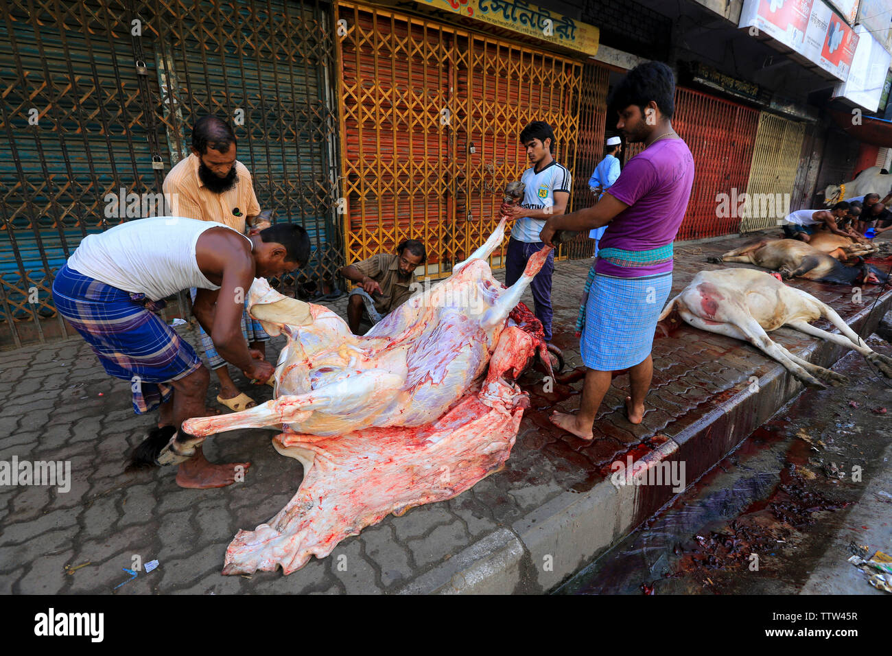 Animals slaughtered in the street for the biggest Muslim festival  Eid-ul-Azha also known as the Eid of Sacrifice at Dhaka, Bangladesh Stock  Photo - Alamy