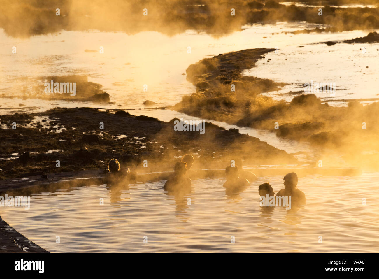 Tourists in a hot spring at dawn, Sol de Manana (Morning Sun), Potosi Department, Bolivia Stock Photo