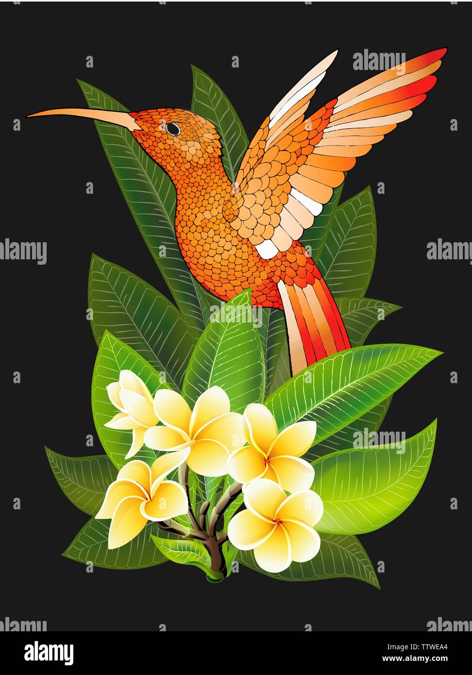 Summer design for advertising with hummingbird, tropical leaves and flowers Stock Vector