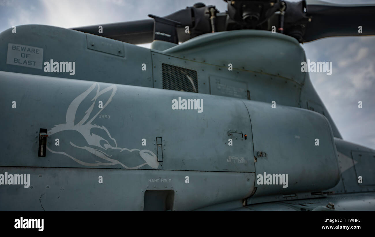 The Marine Light Attack Helicopter Squadron 775 mascot is coated on an UH-1Y Venom helicopter with HMLA-775, Marine Aircraft Group 41, 4th Marine Aircraft Wing, at Canadian Forces Base Cold Lake, Canada, June 15, 2019, in support of Sentinel Edge 19. The Marine Reserve plays a critical component to the Marine Corps’ Total Force, and training such as SE19 helps ensure Reserve units combat effectiveness and proficiency for world-wide deployment. (U.S. Marine Corps photo by Lance Cpl. Jose Gonzalez) Stock Photo
