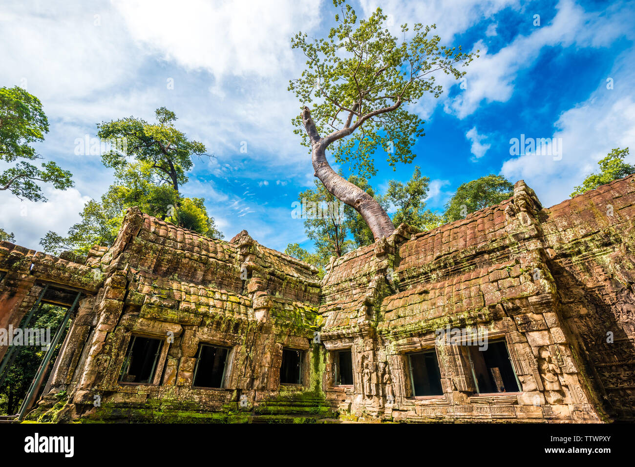 The Pablon Temple in Angkor Wat, Cambodia, which symbiosis with big trees, green is the theme color here, abandoned bricks and tiles, wanton spreading vines, unique mottled light and shadow and damp and fresh primitive jungle atmosphere constitute a mysterious, vicissitudes and barbarian atmosphere. At the same time, it is also the shooting place of the film Tomb Raider. Stock Photo