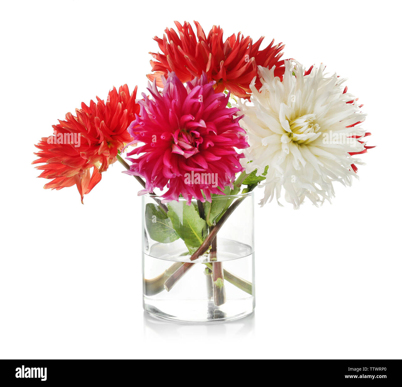 Beautiful dahlia flowers in vase, isolated on white Stock Photo Alamy
