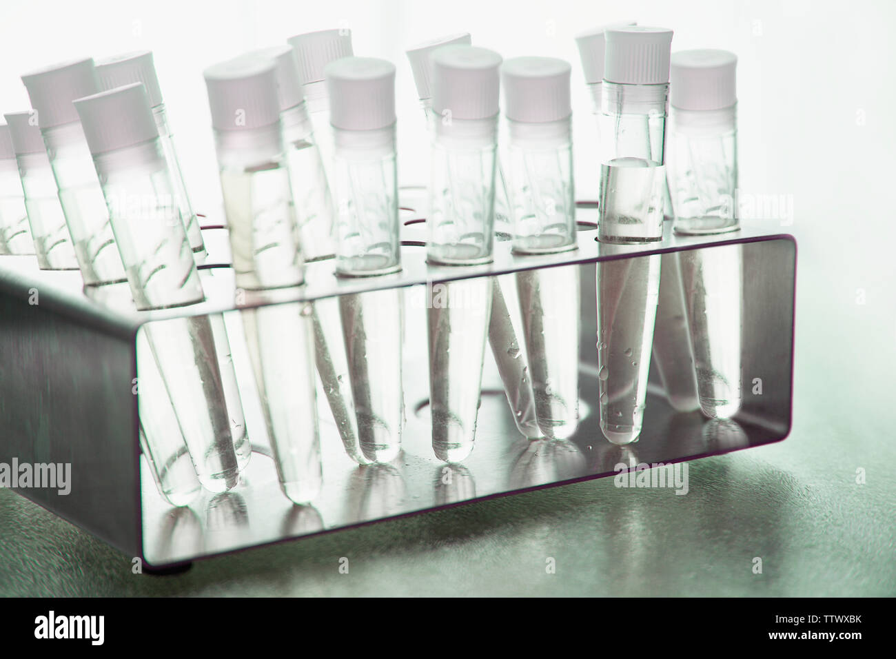 Test tube rack Stock Photo Alamy
