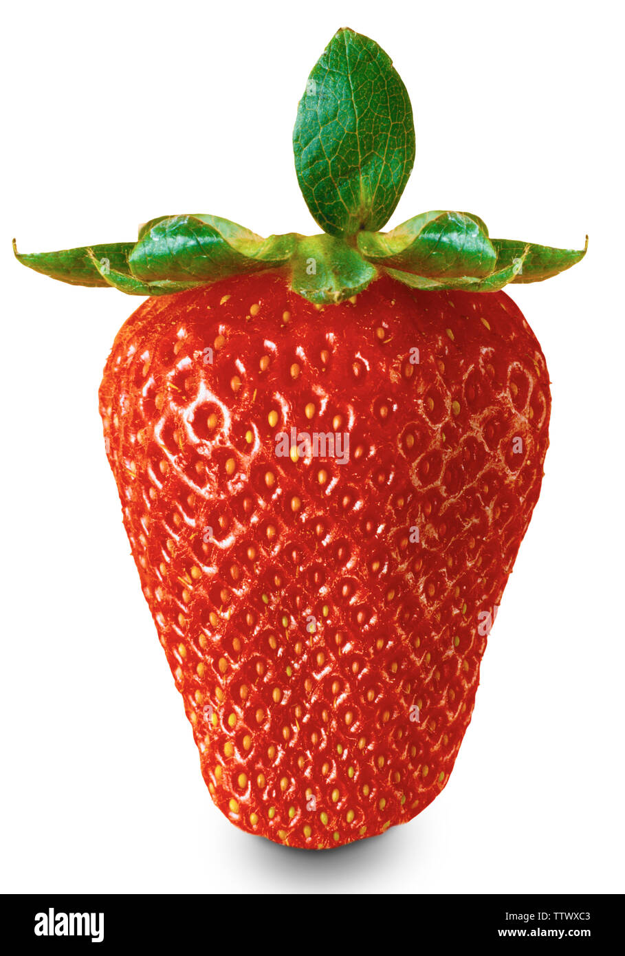 Photo of one strawberry hi-res stock photography and images - Alamy