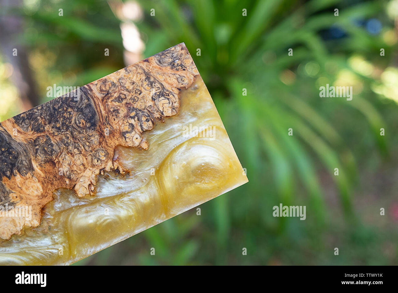 Casting resin burl wood Stock Photo Alamy
