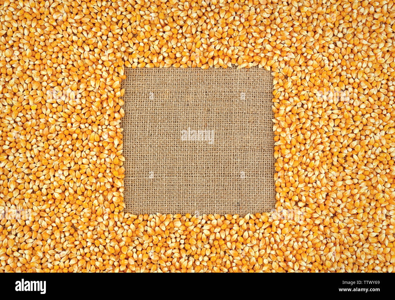 Corn grains with empty space Stock Photo - Alamy