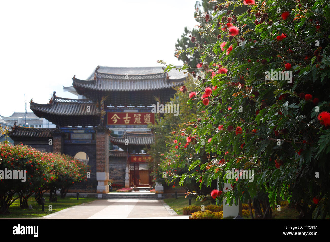 Red flowers with the Temple of Confucius in the background. This is the largest temple of the Yunnan, China. Jianshui, Yunnan, China - November, 2018 Stock Photo