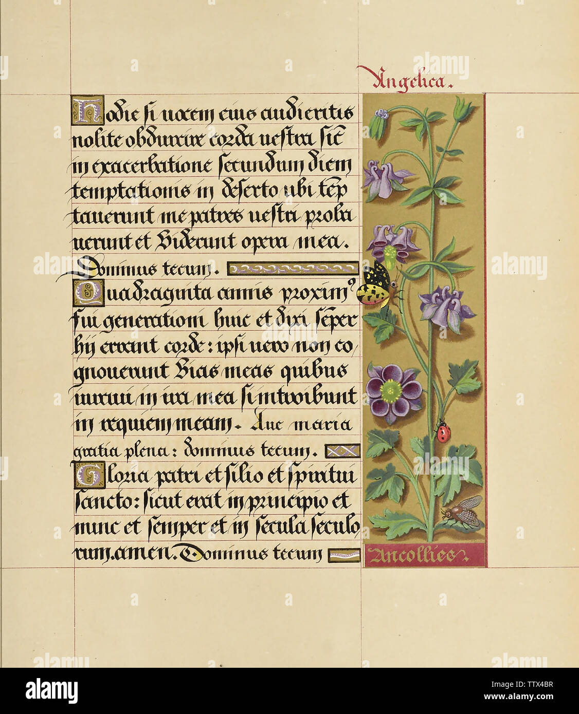 Illegible manuscript book hi-res stock photography and images - Alamy