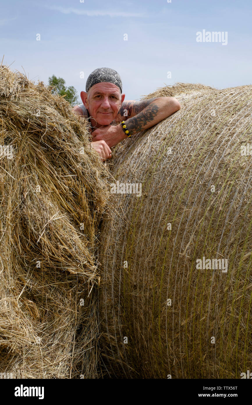 man standing amongst round hay bales while enjoying the hot summer sun in a rural area of zala county hungary Stock Photo