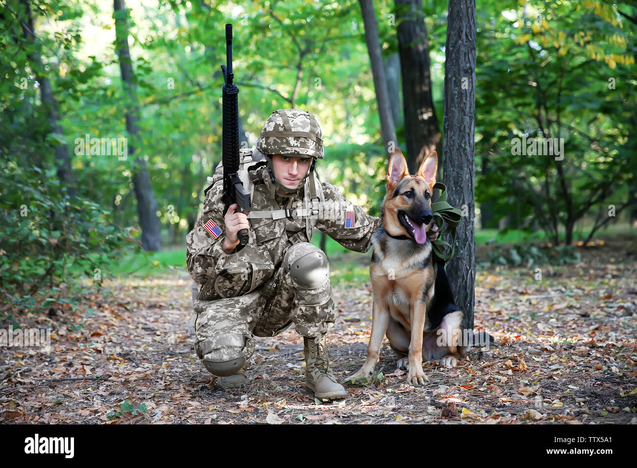 Soldier with military working dog in forest Stock Photo