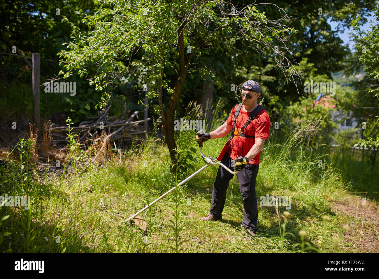 Man mowing his lawn with a grass cutter Stock Photo - Alamy