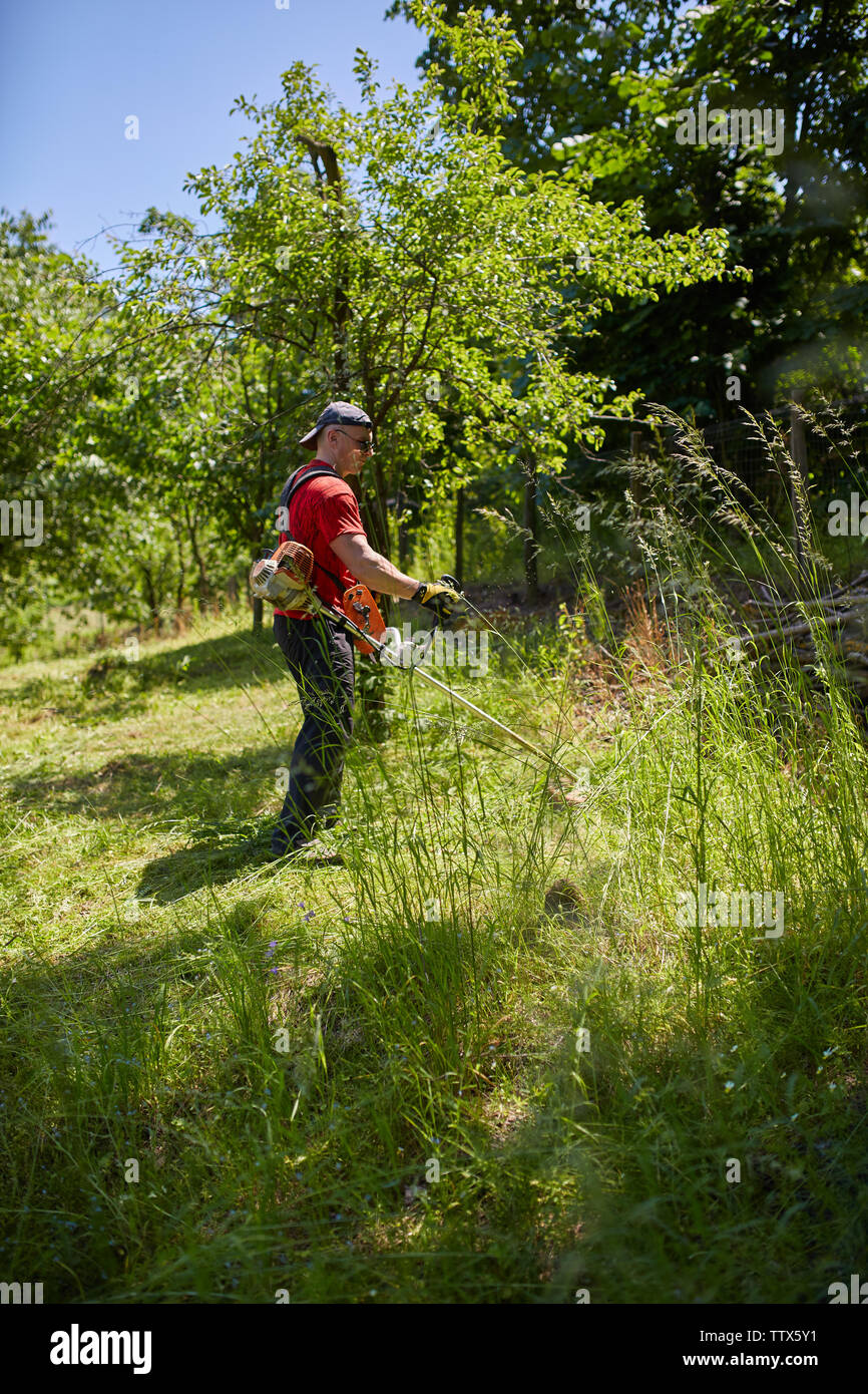 Man mowing his lawn with a grass cutter Stock Photo - Alamy