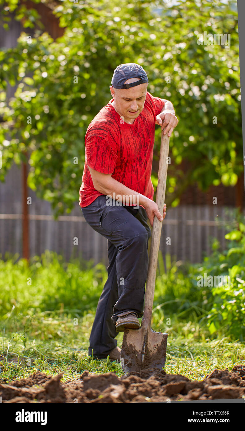 Farmer working with a shovel in his garden Stock Photo - Alamy