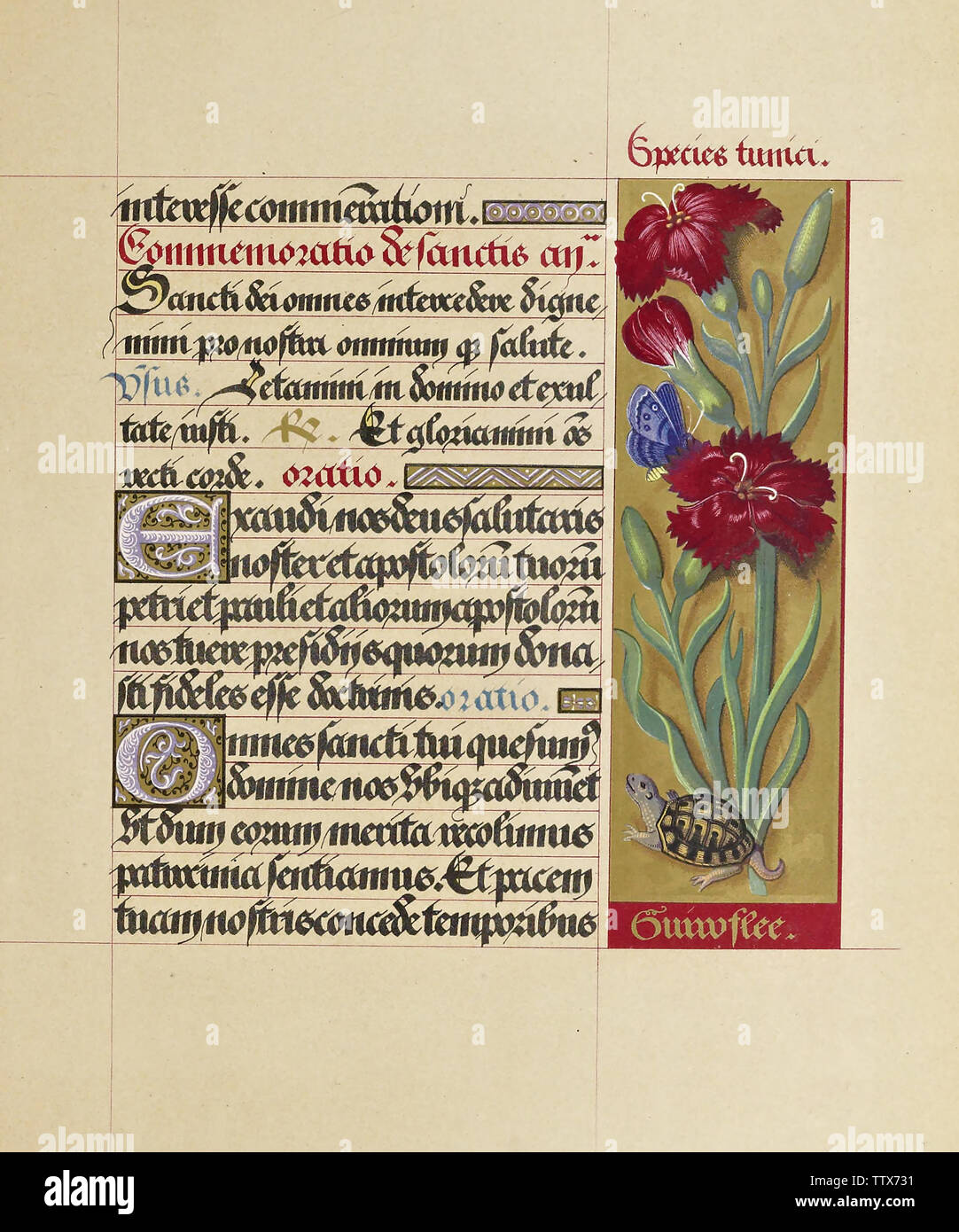 Manuscript booknuscript book Stock Photo - Alamy