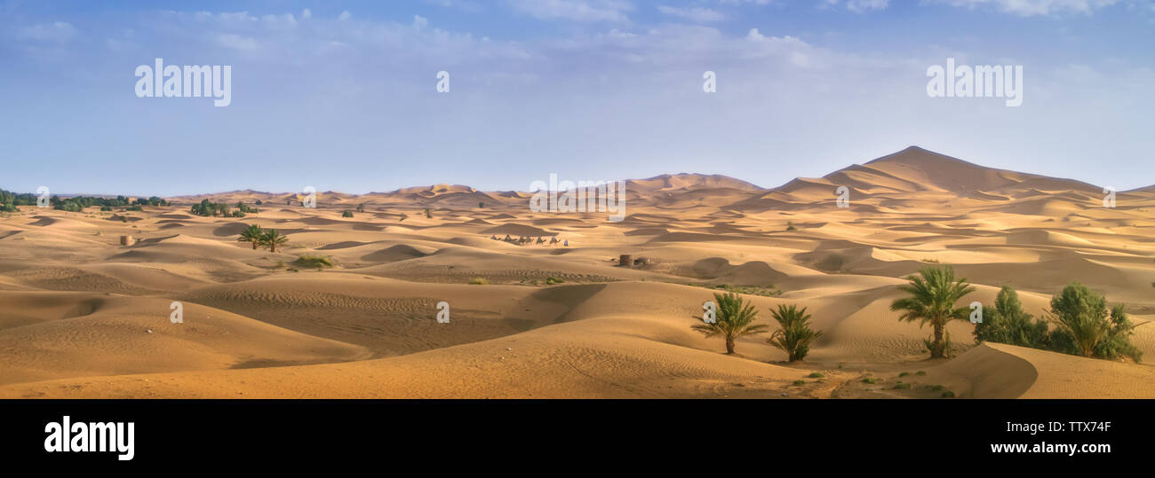 Panorama of the Sahara desert on the outskirts of the city of Merzouga with lonely trees in the foreground. Stock Photo