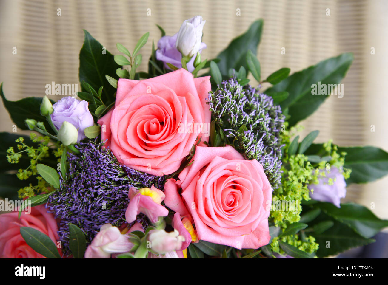 Garden red roses other hi-res stock photography and images - Alamy