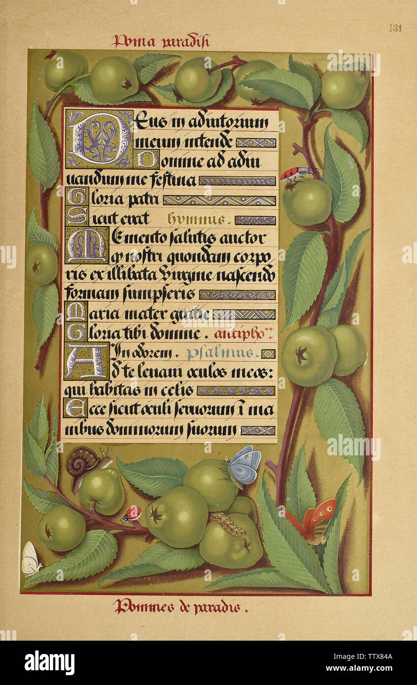 Manuscript booknuscript book Stock Photo - Alamy