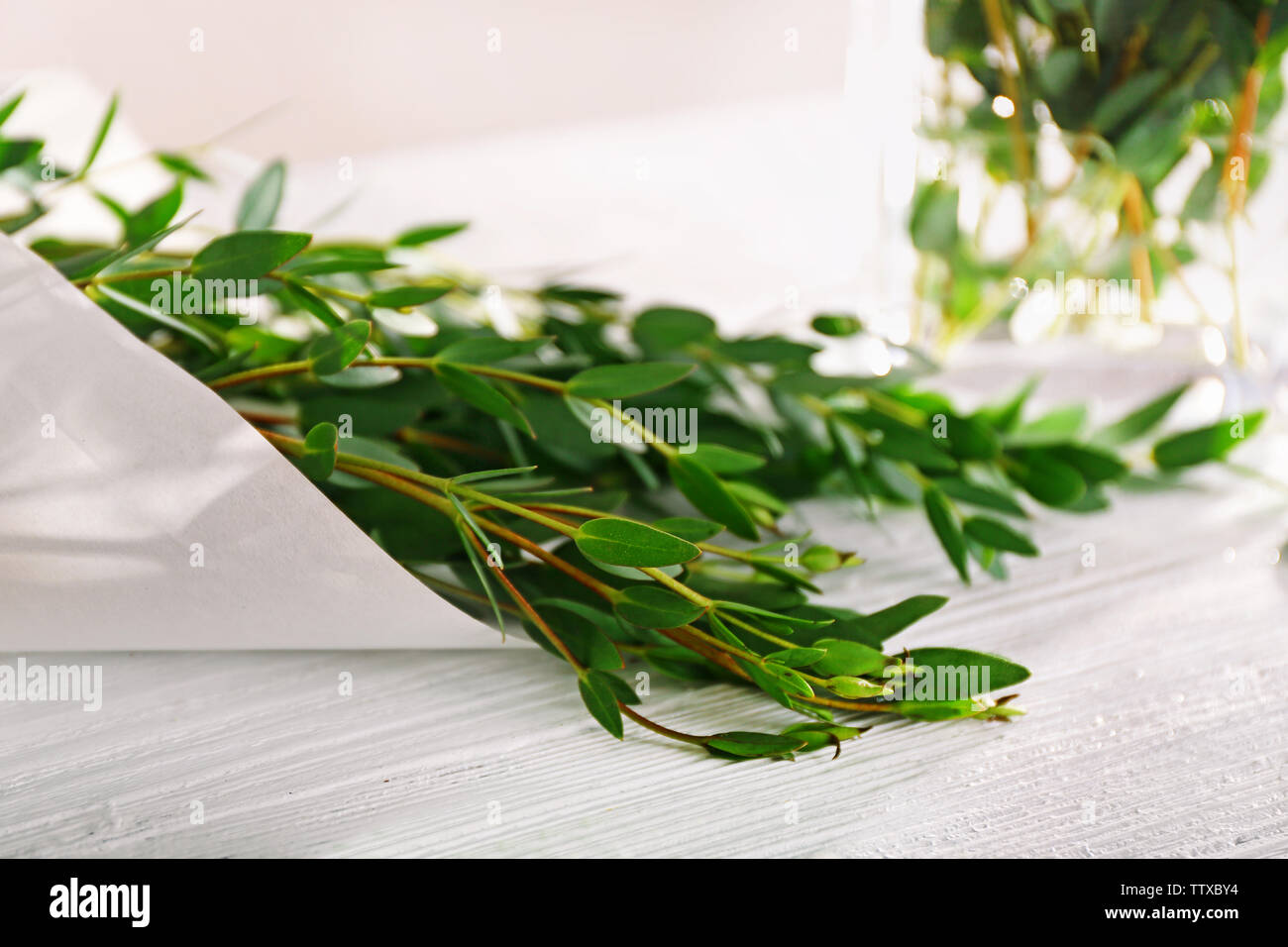 Green eucalyptus branches, closeup Stock Photo