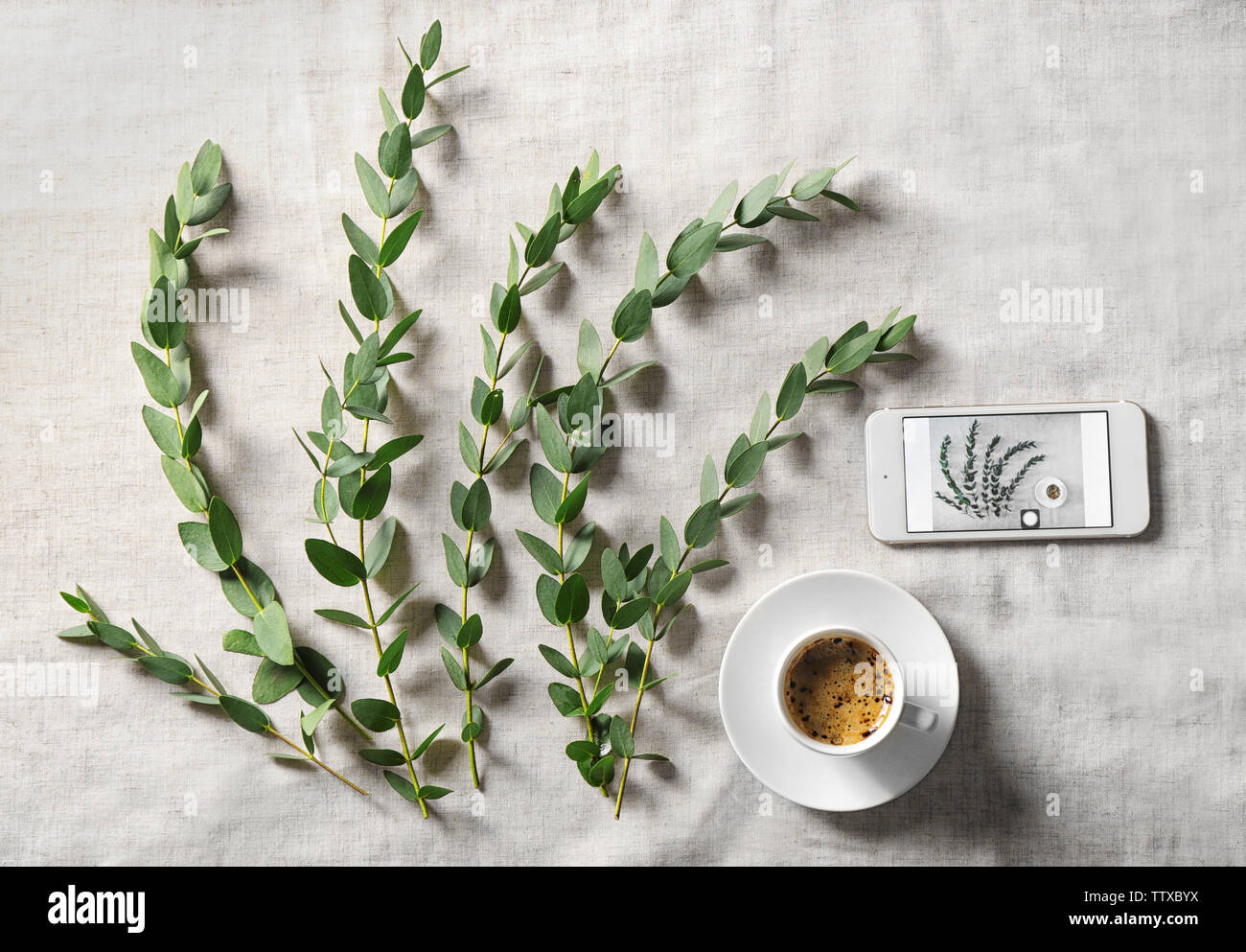 Green eucalyptus branches with cup of coffee on table Stock Photo