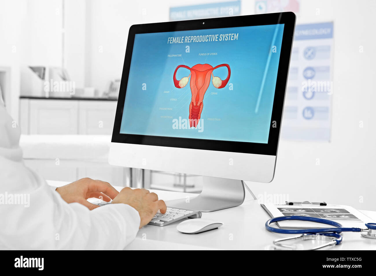 Gynecology consultation. Doctor working on computer Stock Photo - Alamy