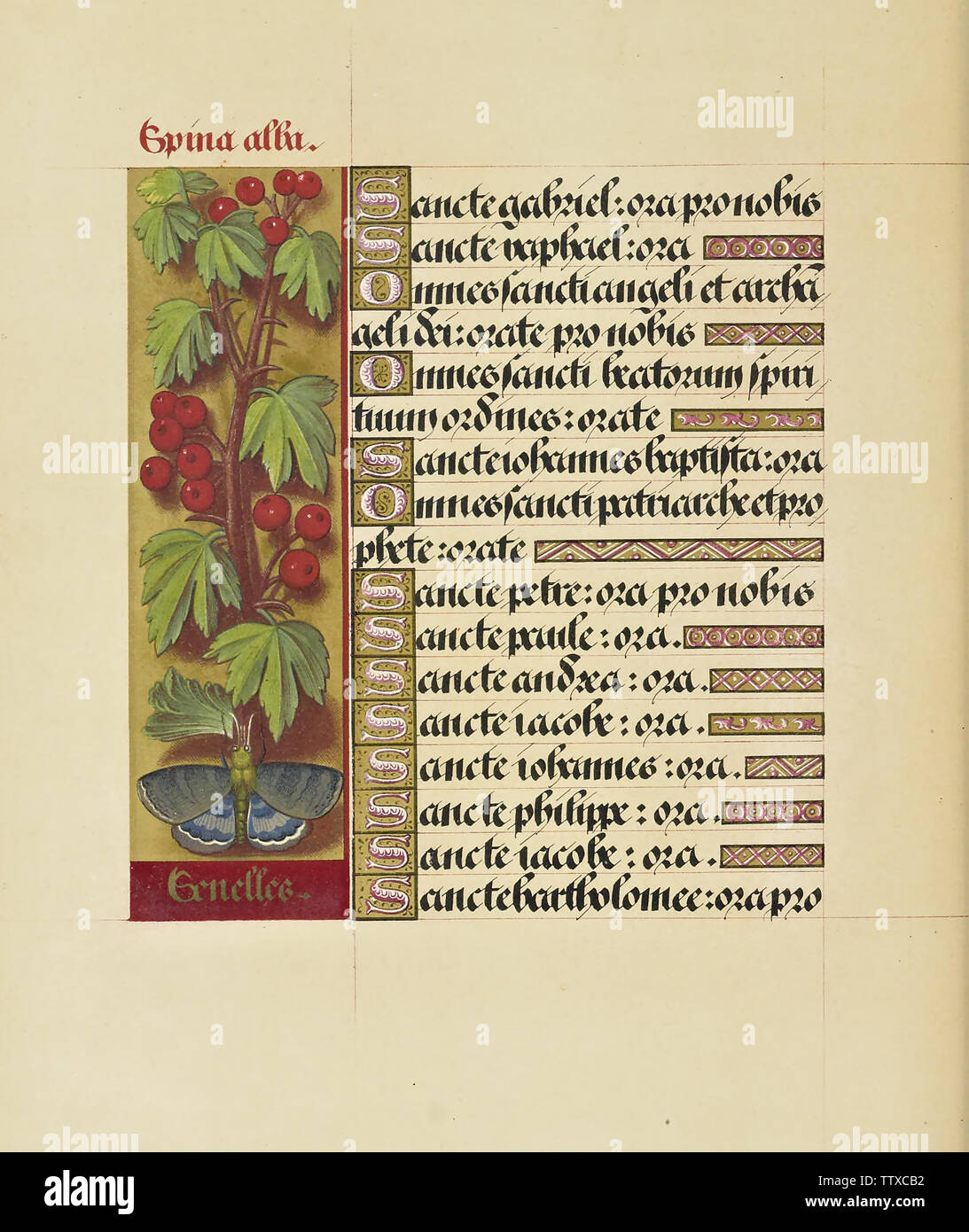 Manuscript booknuscript book Stock Photo - Alamy