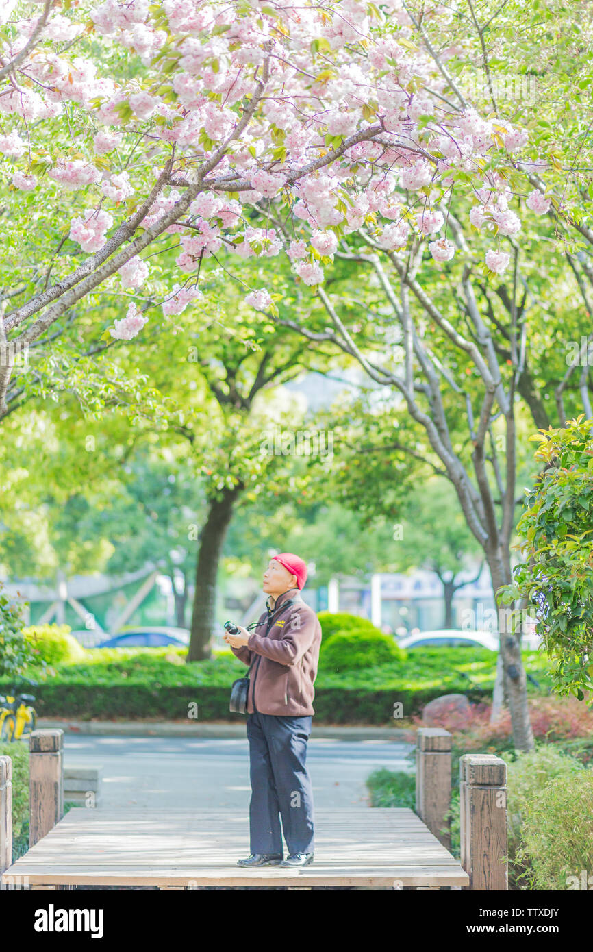 appreciation of spring Stock Photo - Alamy