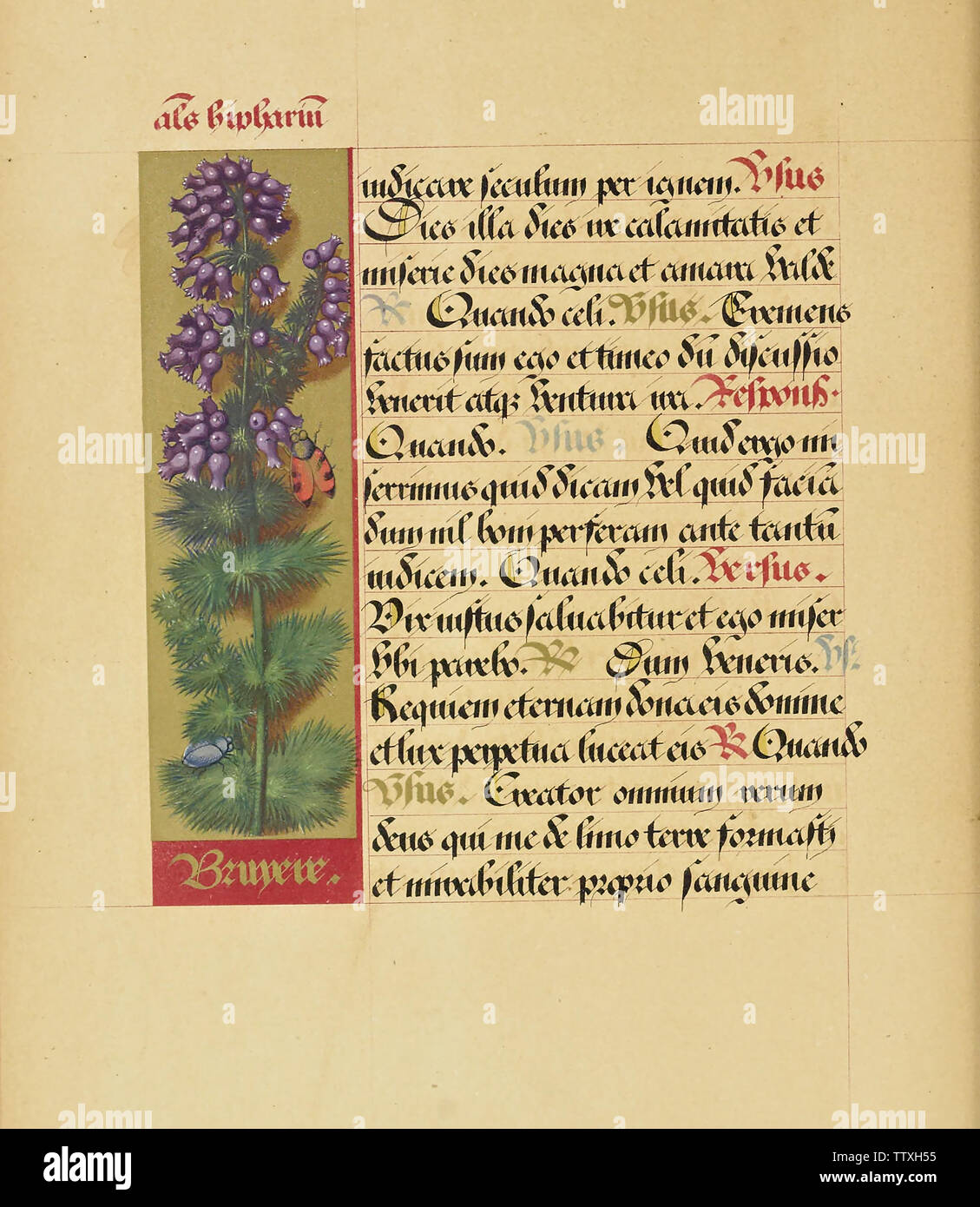 Manuscript booknuscript book Stock Photo - Alamy