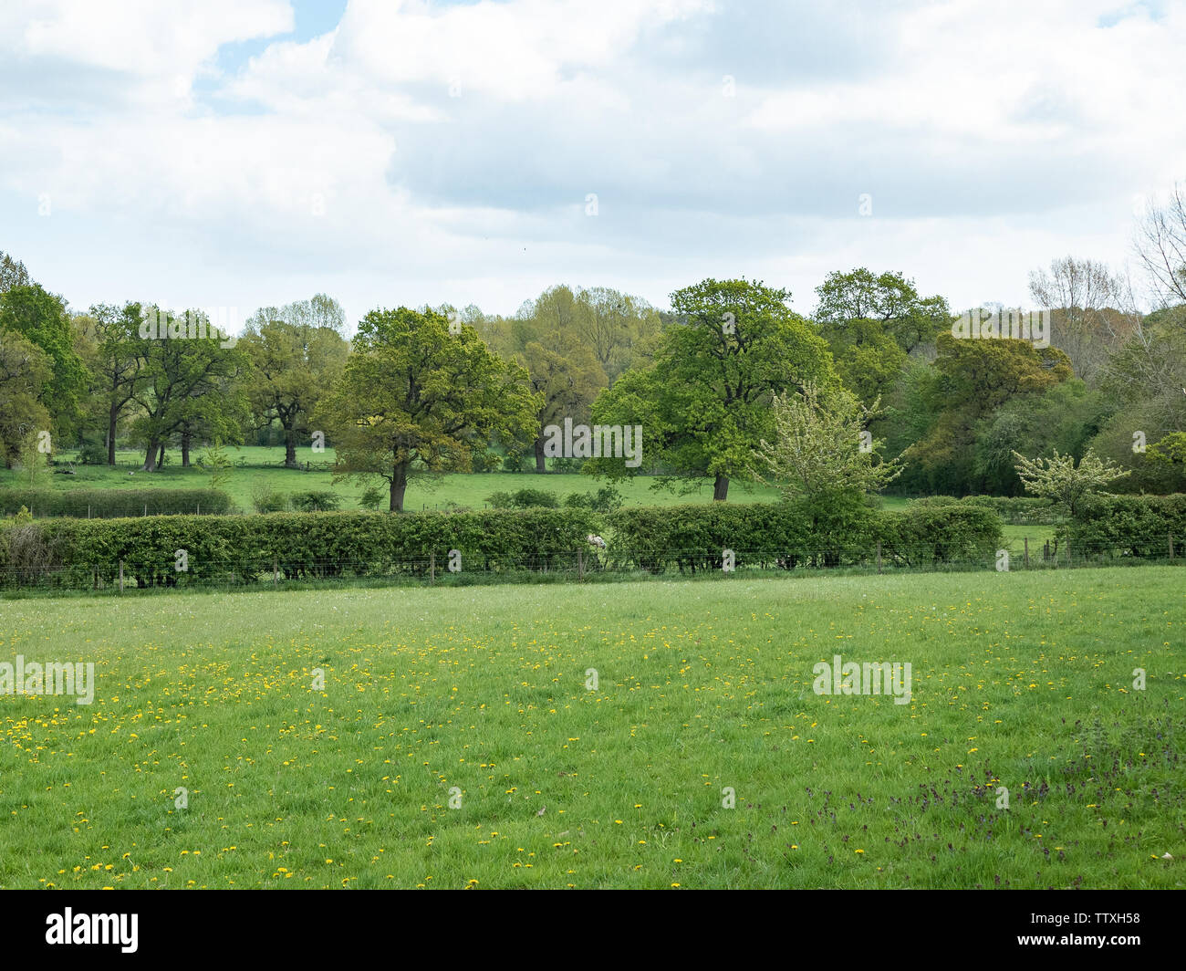 A pastoral Suffolk landscape scene Stock Photo