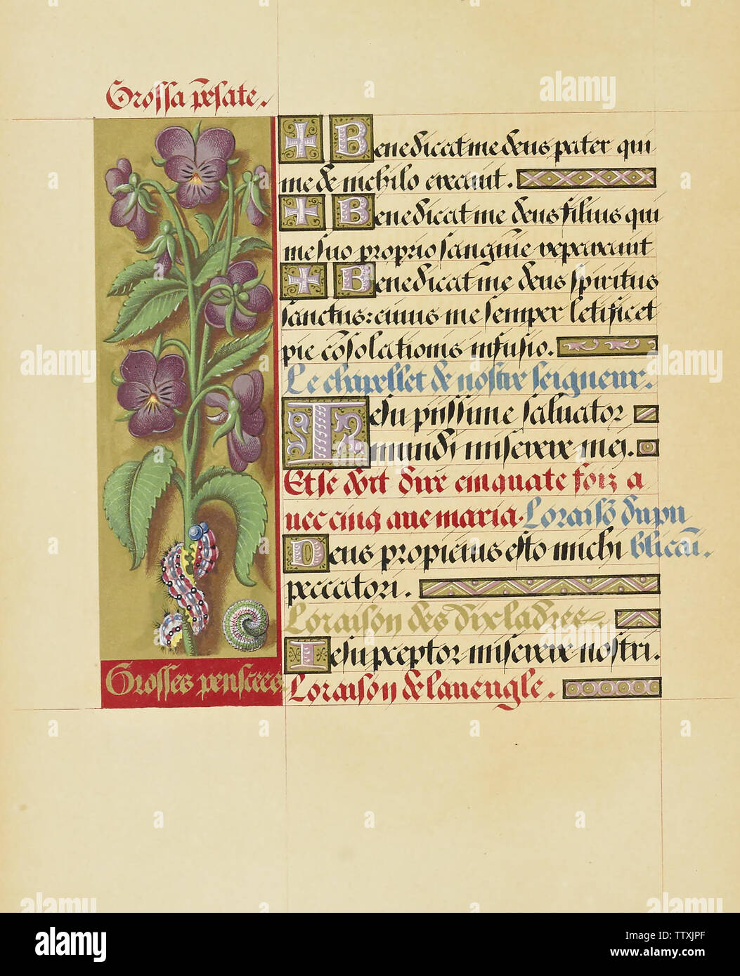 Manuscript booknuscript book Stock Photo - Alamy