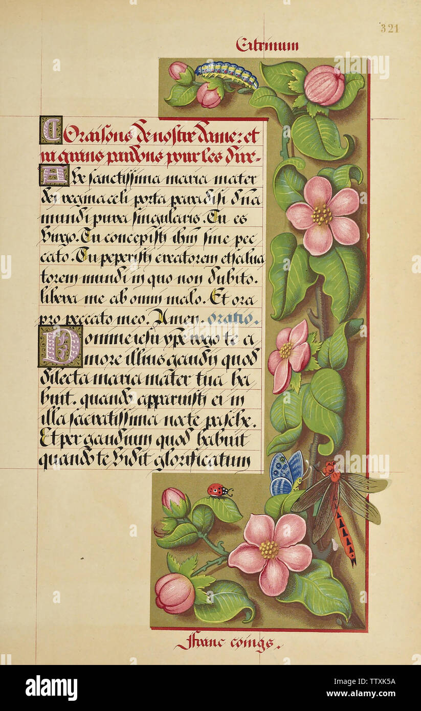 Illegible manuscript book hi-res stock photography and images - Alamy