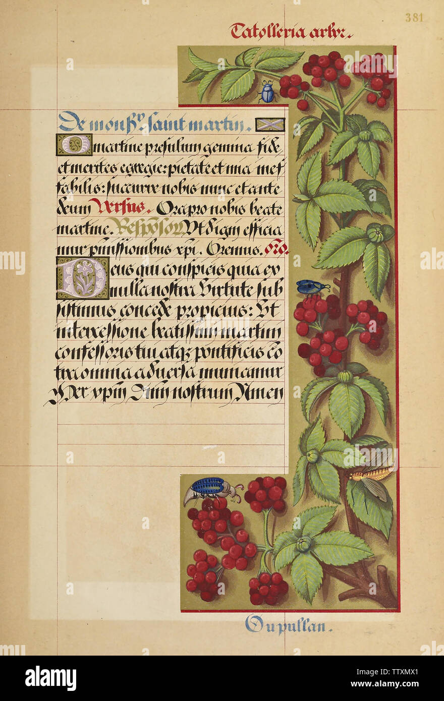 Manuscript booknuscript book Stock Photo - Alamy