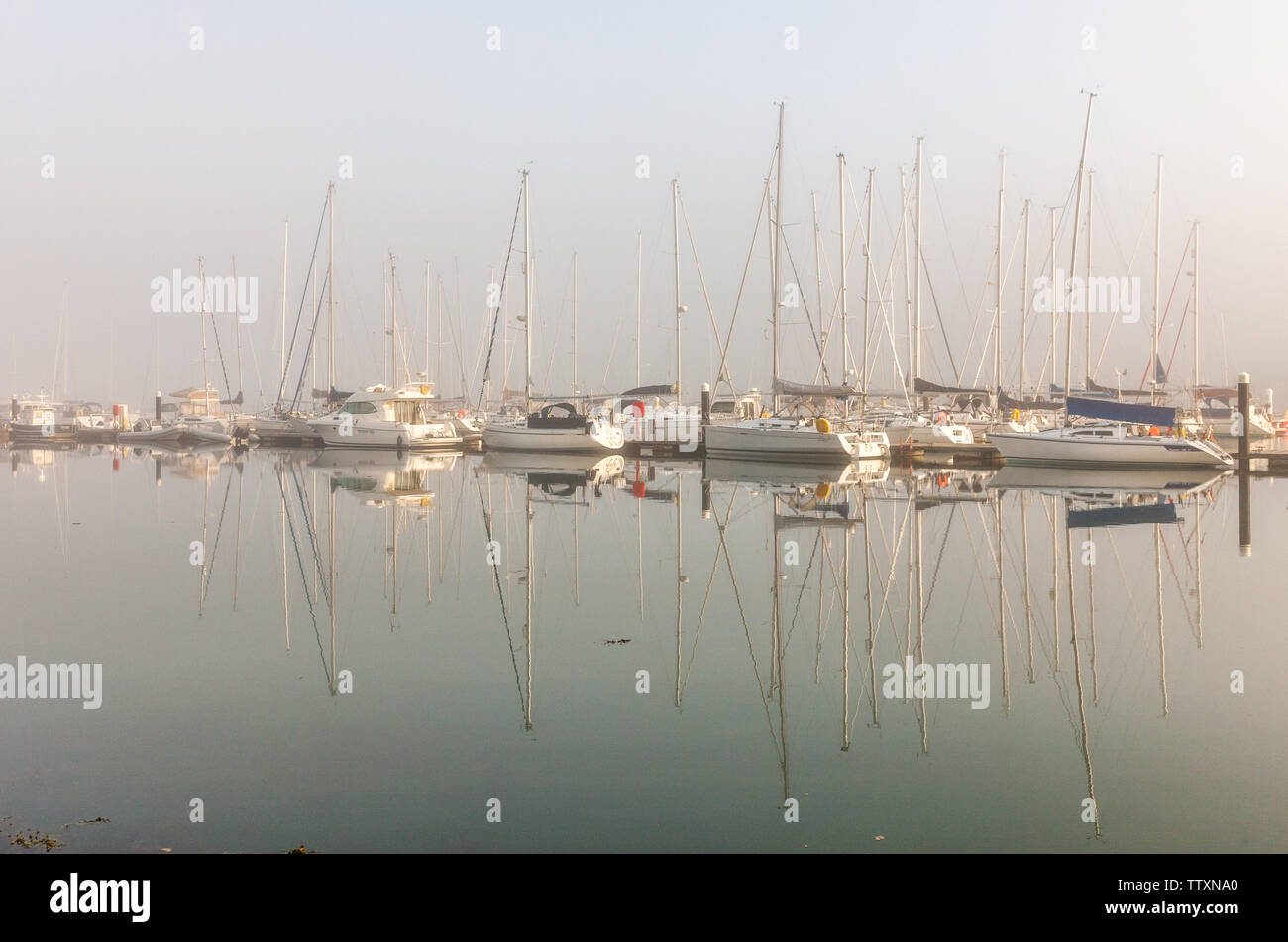 Crosshaven, Cork, Ireland. 18th June, 2019. Early morning fog begins to dissipate with the morning sun over yachts at the Royal Cork Yacht Club in Crosshaven, Co. Cork, Ireland. Credit: David Creedon/Alamy Live News Stock Photo