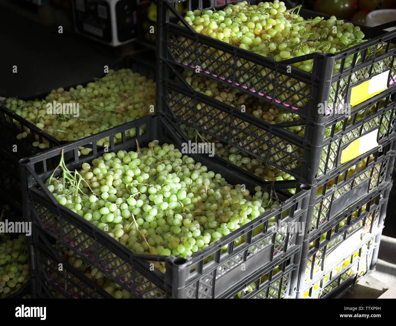 Plastic boxes grapes harvest hi-res stock photography and images - Alamy