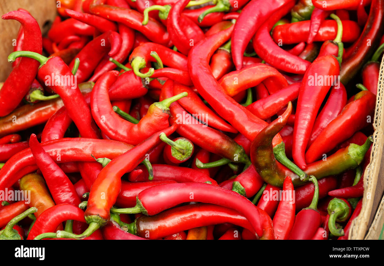 Choosing fresh red chili peppers hi-res stock photography and images ...
