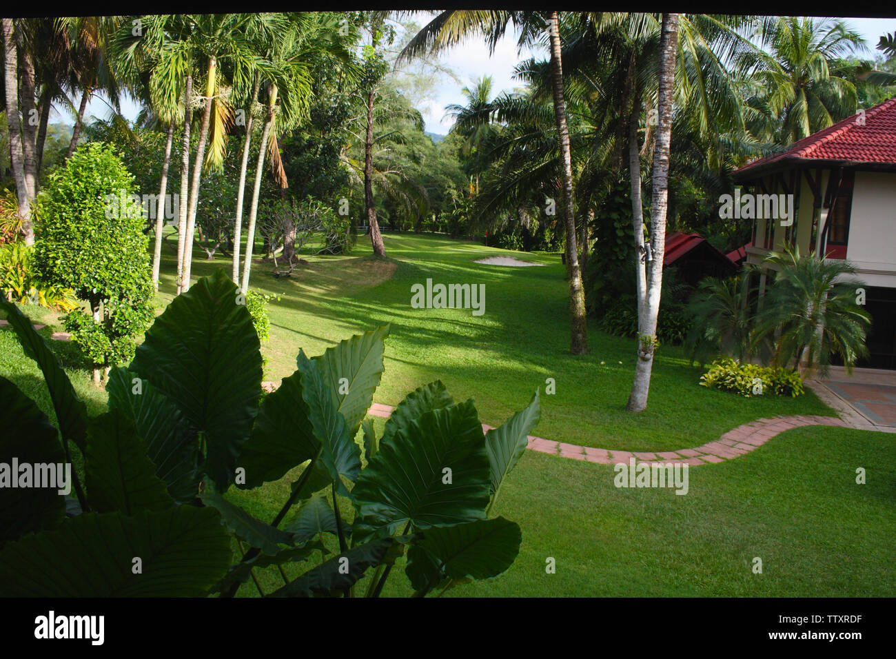 Backyard of a tourist resort, Phuket, Thailand Stock Photo