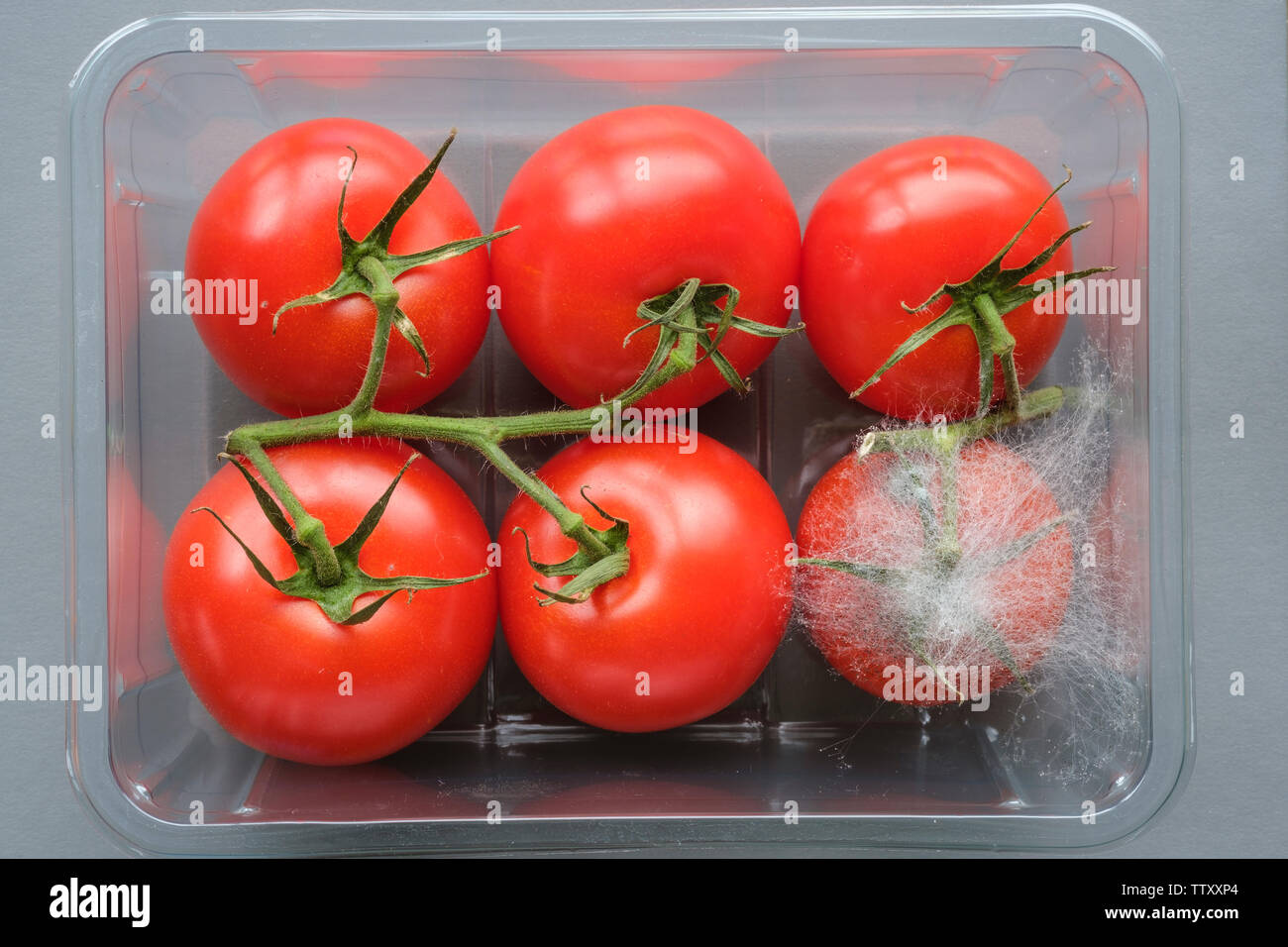 Download Tomatoes In A Plastic Tray From A Supermarket With One Growing Fungus Which Would Infect The Others If Not Separated Stock Photo Alamy Yellowimages Mockups