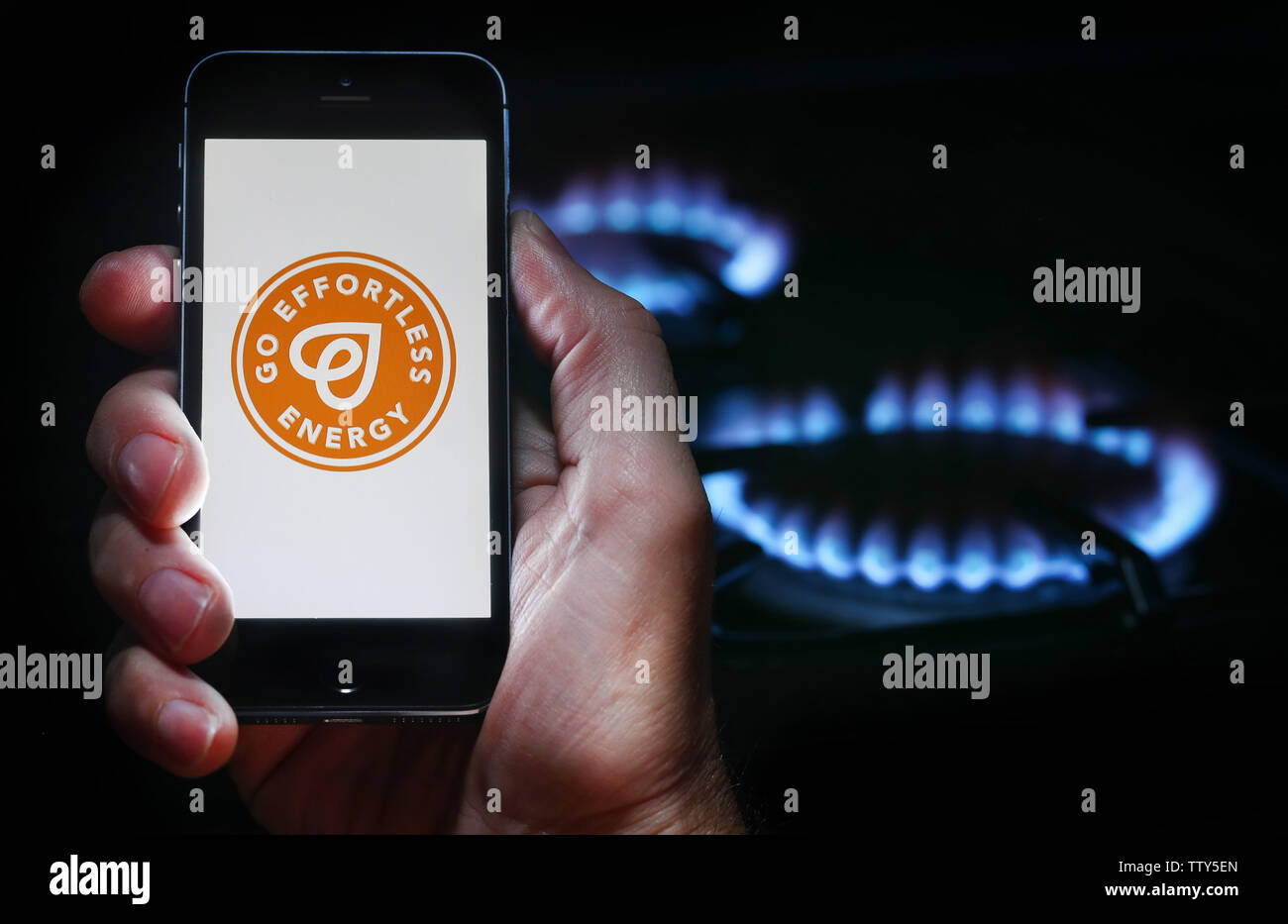 A man looking at the website logo for energy company Go Effortless Energy on his phone in front of his gas cooker (editorial use only) Stock Photo