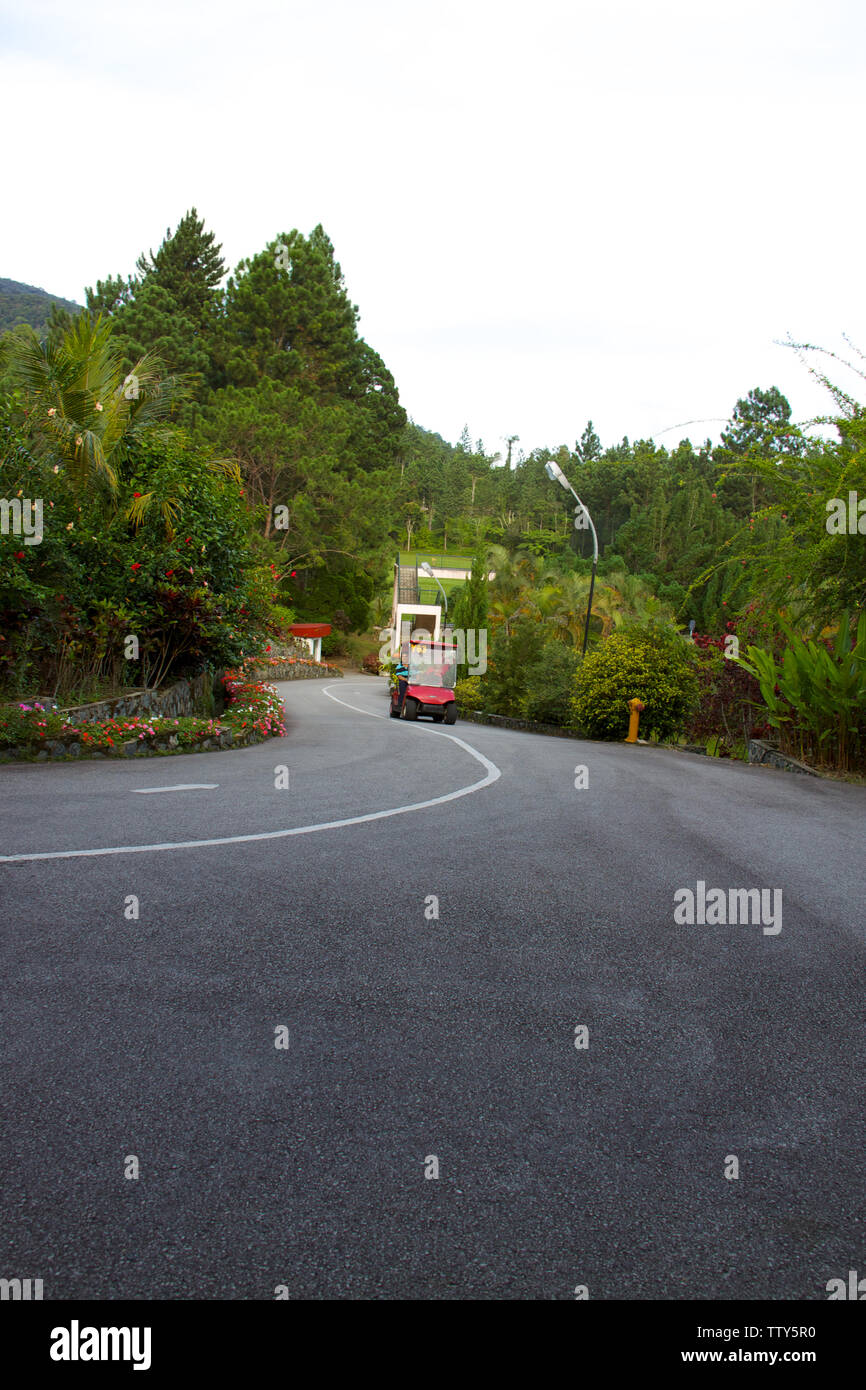Golf cart leading to golf course Stock Photo